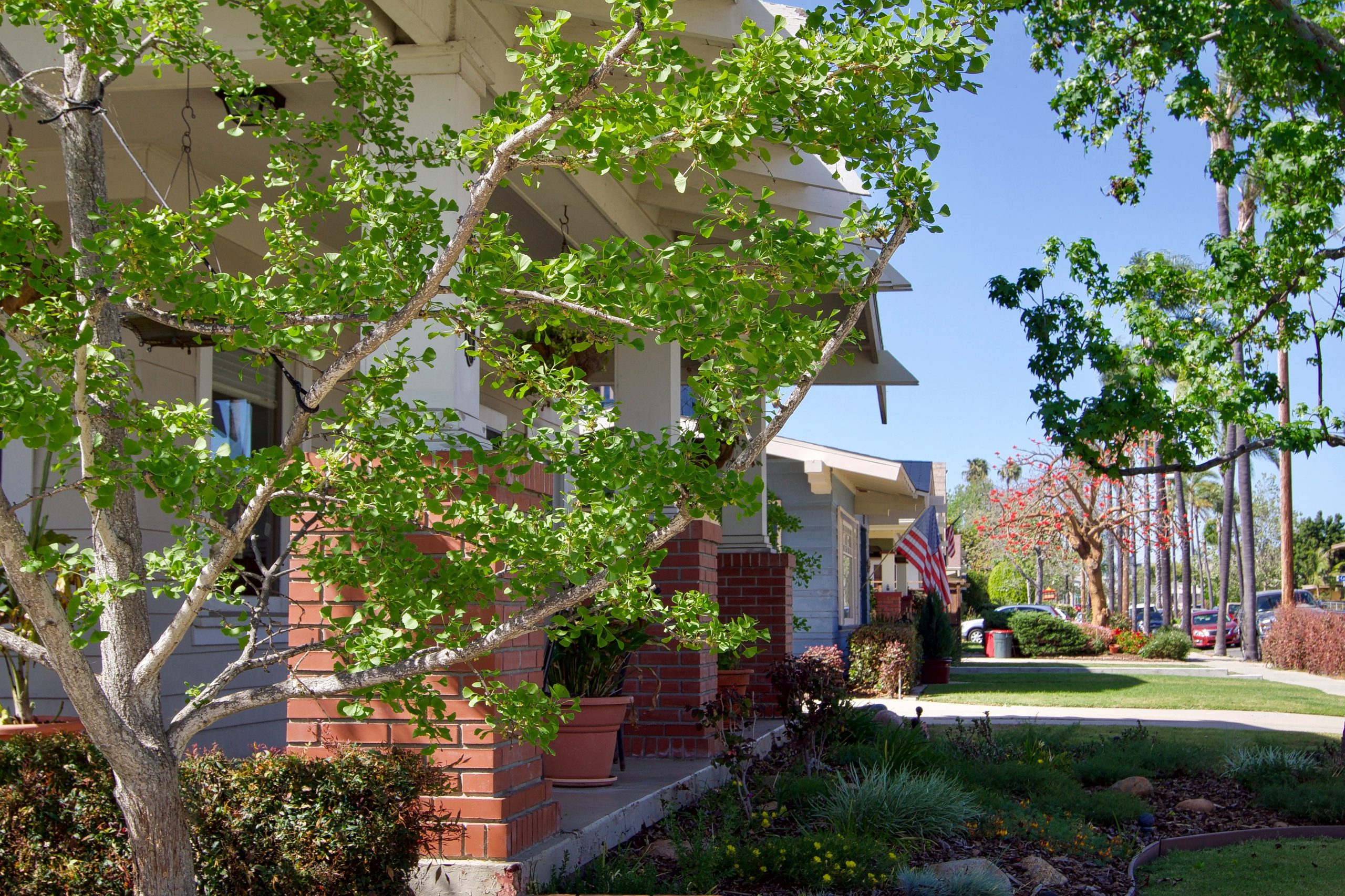 The Case for Monthly Income Distributions: Why Cash Flow Timing Matters in Retirement. LBC Capital